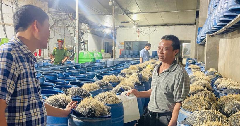 Lực lượng chức năng kiểm tra cơ sở sản xuất giá đỗ của ông Tạ Văn Hải. (Ảnh: Bộ Công an)