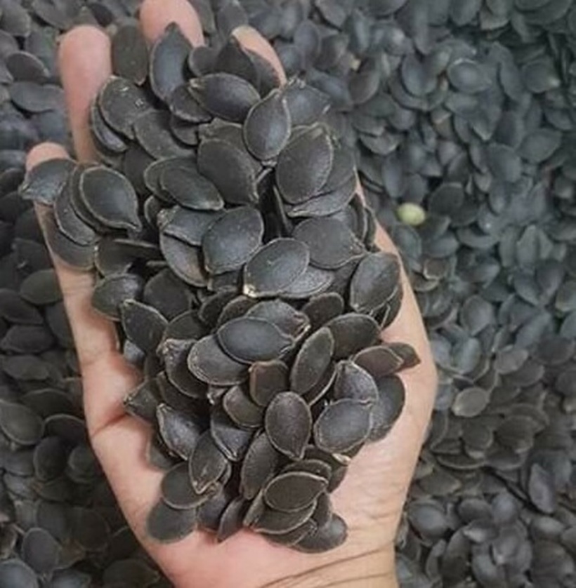 Chỉ nên ăn hạt bí rang hoặc hạt bí khô và không nên chế biến hạt bí trong các món ăn sẽ làm mất đi giá trị dinh dưỡng vốn có.