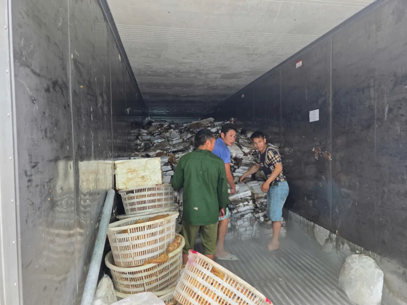 Quản lý thị trường kiểm tra kho lạnh vi phạm. Ảnh: VTV