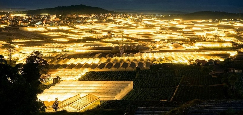 Một góc từ Panorama nhìn ra Trại Mát với trùng điệp những ngôi nhà kính lên đèn rực rỡ khi màn đêm buông xuống.