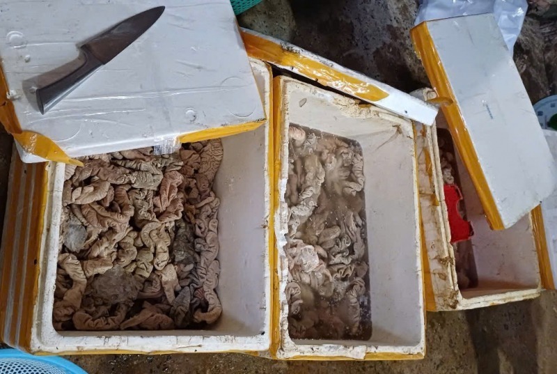4 tấn sản phẩm mỡ, lòng không có hóa đơn chứng từ, chứng minh nguồn gốc xuất xứ. Ảnh: Báo Công an Nhân dân.