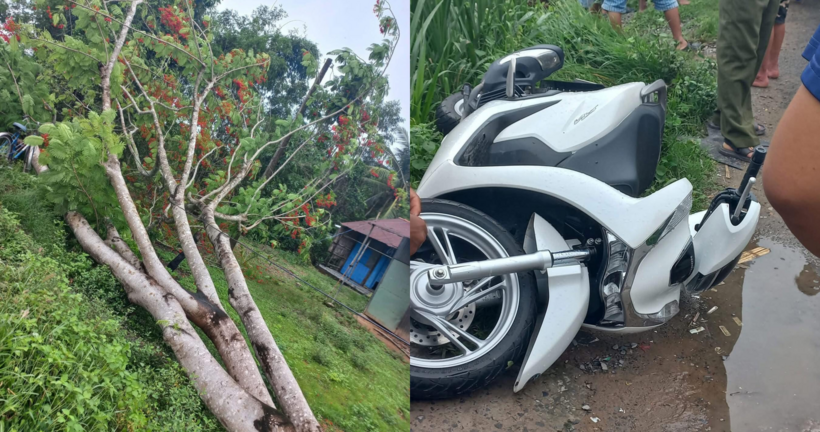 Gió lớn làm bật gốc cây phượng, kéo đổ hệ thống dây điện treo lơ lửng. Hai thanh niên đi xe máy không kịp nhìn thấy đã va chạm, bị điện giật và tử vong tại chỗ. Ảnh: Người Lao Động.