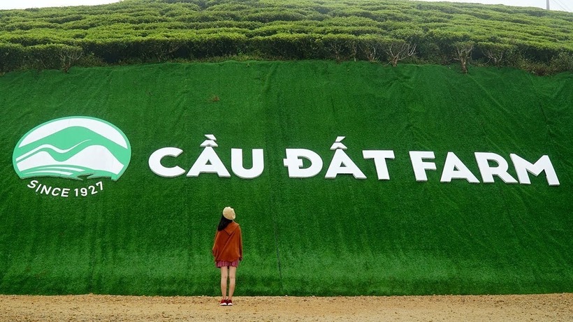 Những đồi chè xanh mướt trải dài vô tận tạo nên một khung cảnh hùng vĩ và yên bình. Ảnh minh hoạ.