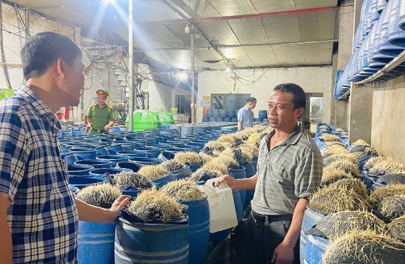 Cơ sở sản xuất giá đỗ có ngâm ủ hóa chất độc hại. Ảnh: Thanh Niên