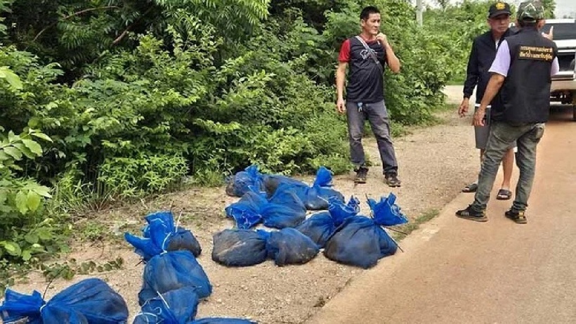 Nhiều chiếc túi lưới được phát hiện trong rừng. Ảnh: Saostar.