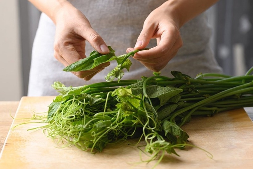 Ngọn su su rất giàu vitamin A, B1, B2, kali, canxi, magiê, phốt pho, sắt, kẽm và các chất dinh dưỡng khác, và cực kỳ ít calo.