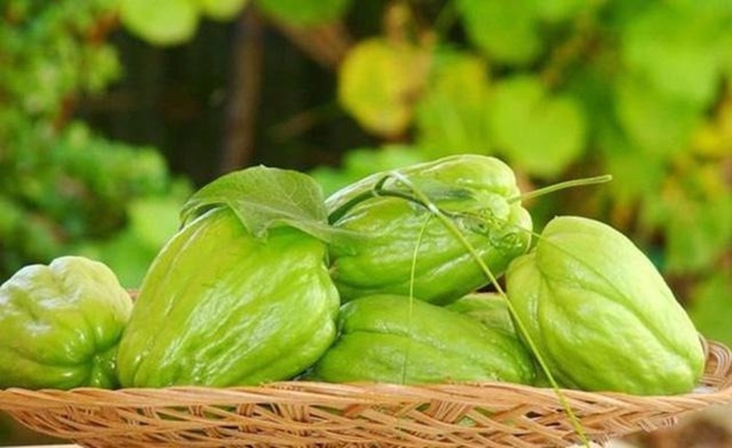 Quả su su có hình dạng giống như quả lê, kích thước vừa phải, vỏ màu xanh nhạt hoặc xanh đậm, bề mặt có thể nhẵn hoặc có rãnh dọc.