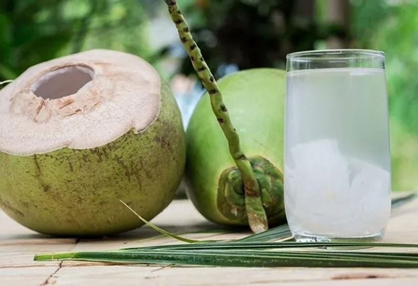 Nước dừa được mệnh danh là "thức uống trường thọ" nhờ vô vàn lợi ích sức khỏe mà nó mang lại.