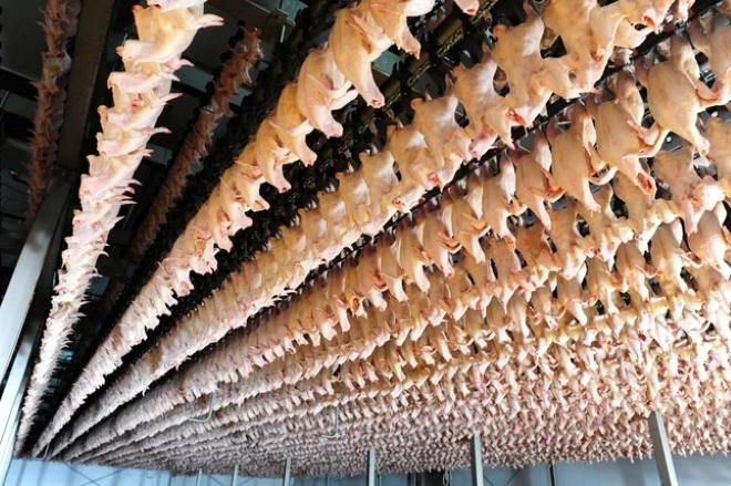 Dây chuyền công nghiệp bên trong nhà máy chế biến thịt của Công ty C.P. chi nhánh huyện Chương Mỹ. Ảnh: Tiền phong