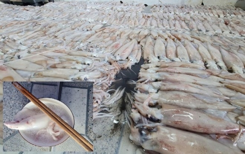 Lực lượng chức năng lấy mẫu của sản phẩm mực để kiểm định chất lượng. Ảnh: Lao Động