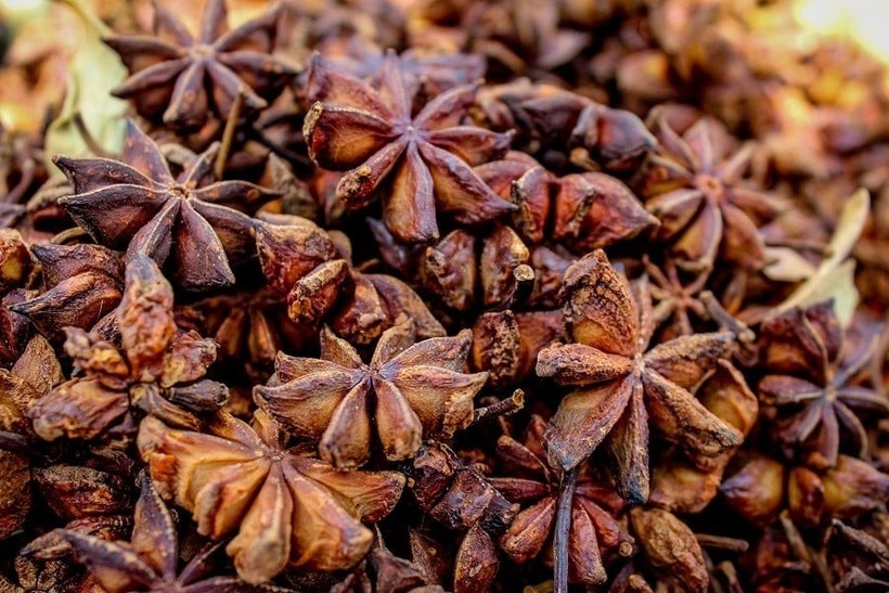 Loài hoa dại tỏa mùi thơm đặc biệt, đem phơi khô giá 250.000/kg, công dụng đỉnh cao ai cũng muốn sở hữu - 4