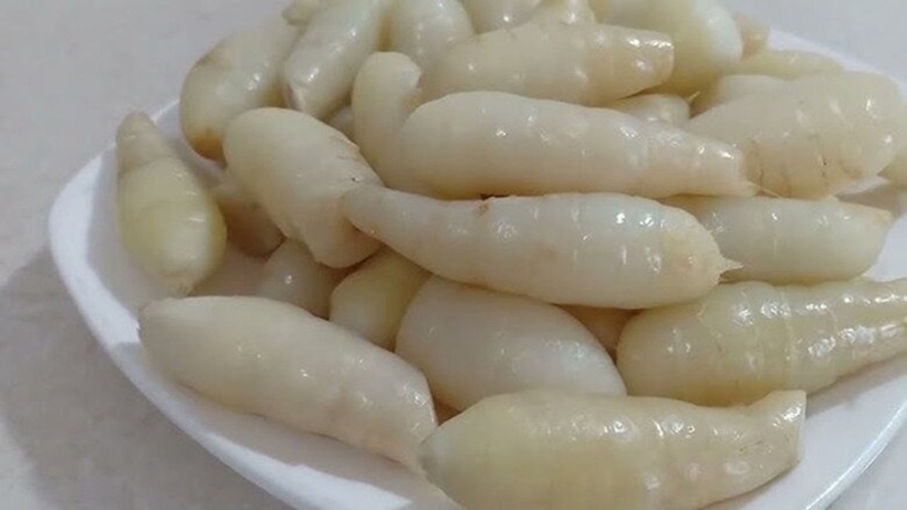 Củ dong có thể được sử dụng ngay ở dạng tươi hoặc có thể chế biến thành bột.
