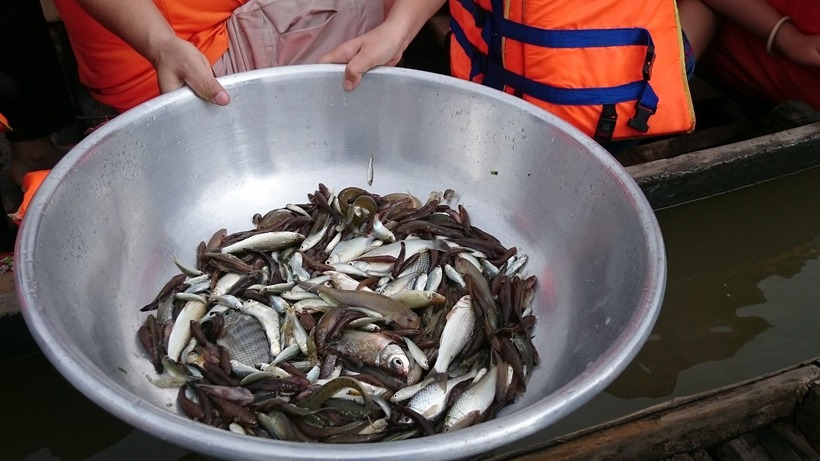 Ăn gì khi đến sông Vàm Nao