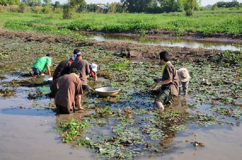 Mỗi hoạt động đều mang đến những trải nghiệm khác nhau.