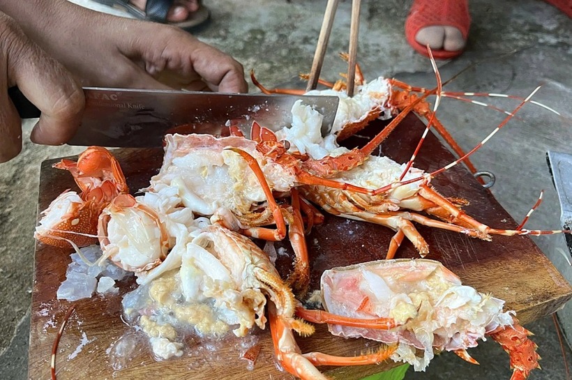 Tôm hùm chết được bơm thạch rau câu để thành đồ tươi. (Ảnh: Chi cục Quản lý thị trường Phú Yên)