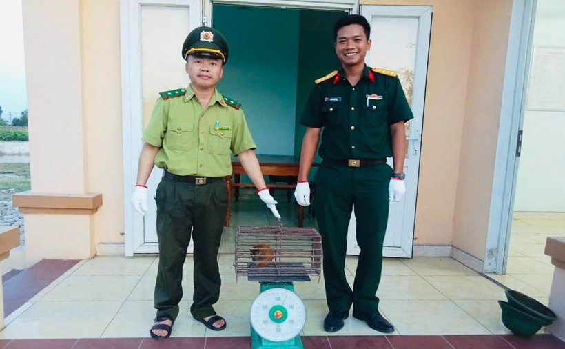 Con động vật hoang dã quý hiếm có tên là cu li nhỏ được giao nộp cho Hạt Kiểm lâm thị xã Hương Thủy, TP.Huế. (Ảnh: Dân Việt)