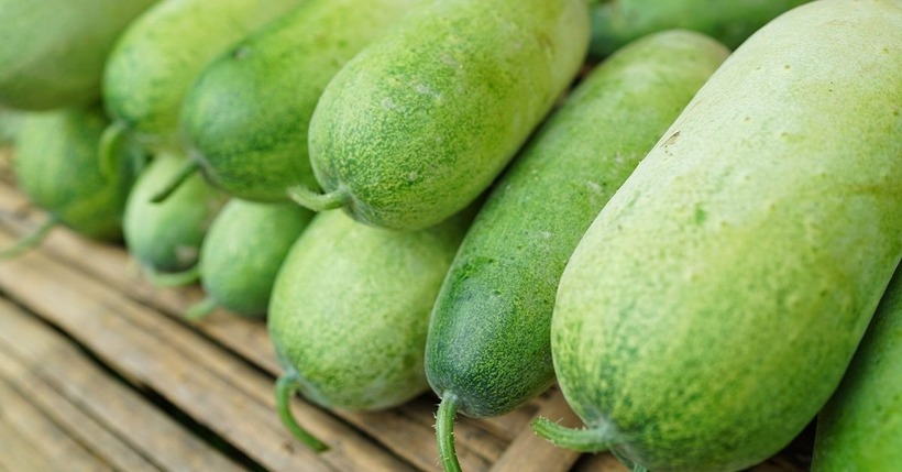 Bí đao có tính lạnh, chưa kể lại chứa nhiều thành phần dễ kích thích dạ dày, làm nặng thêm các triệu chứng tiêu chảy, đau dạ dày.