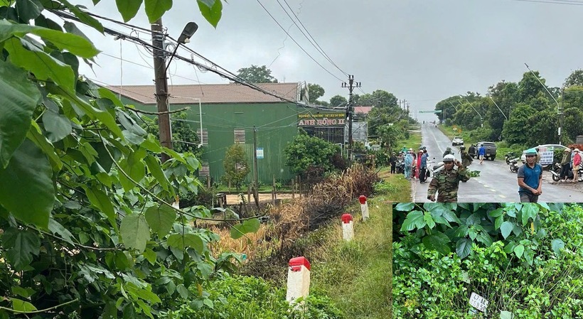 Hiện trường vụ việc, nơi phát hiện 2 nam thanh niên tử vong gần chiếc xe máy. Ảnh: Xây dựng