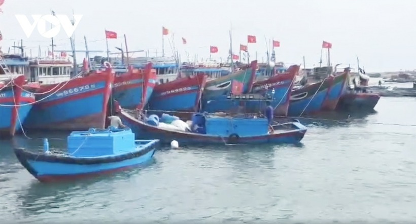 Tàu cá neo đậu trong âu thuyền ở Lý Sơn. (Ảnh: VOV)