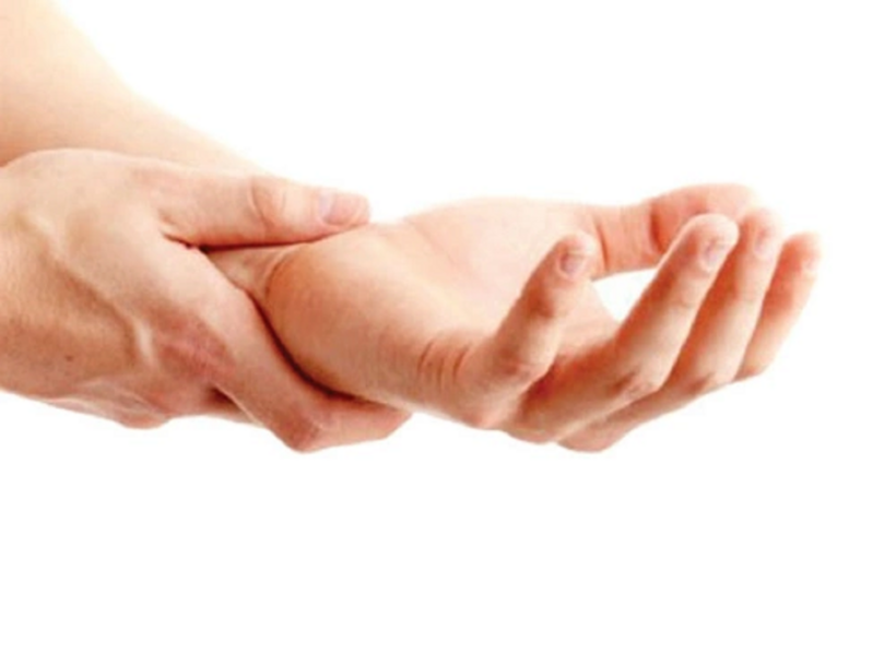 Bộ đôi thảo dược Thiên ma - Câu đằng xuất hiện trong nhiều bài thuốc chữa run