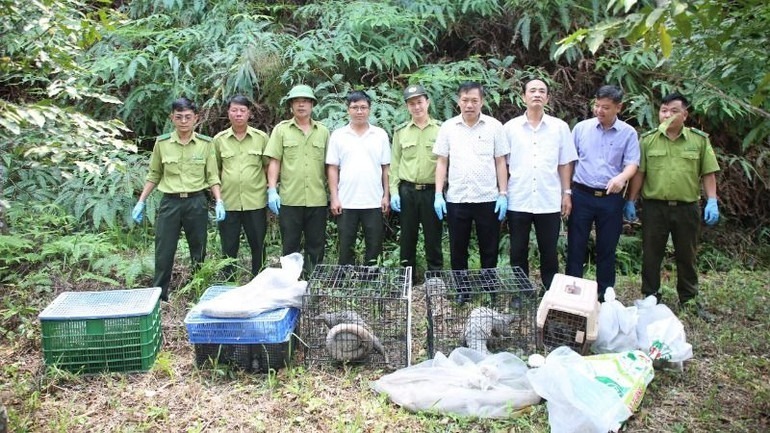 Lực lượng kiểm lâm và các đơn vị trước khi thả các cá thể động vật hoang dã về với tự nhiên tại Vườn quốc gia Chư Yang Sin. (Ảnh: Nhân dân)