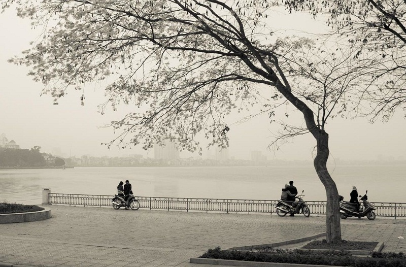 Hồ Tây mùa đông.