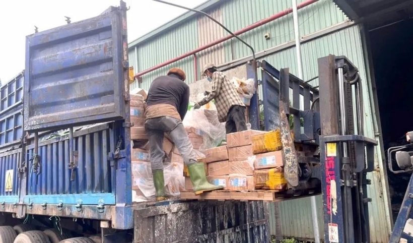 Số thực phẩm không rõ nguồn gốc được đưa đi tiêu hủy. Ảnh: Pháp Luật TP.HCM