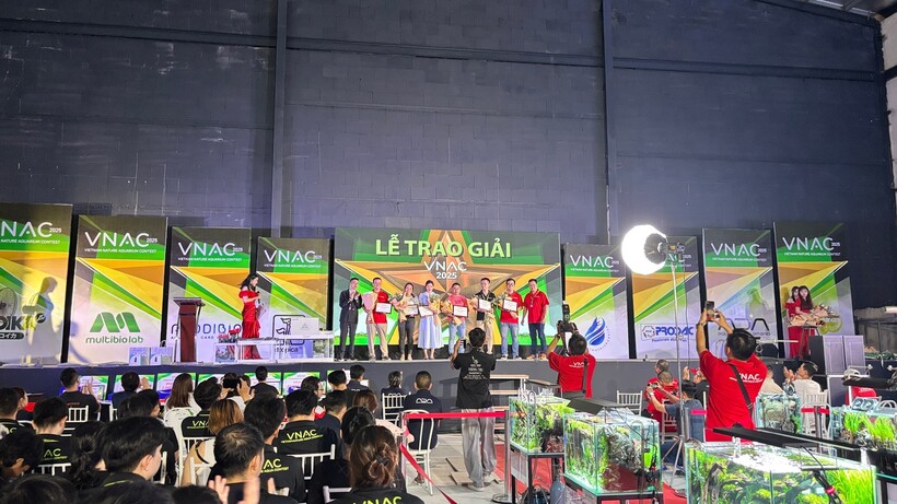 Lễ trao giải được diễn ra vào tối ngày 15/6.