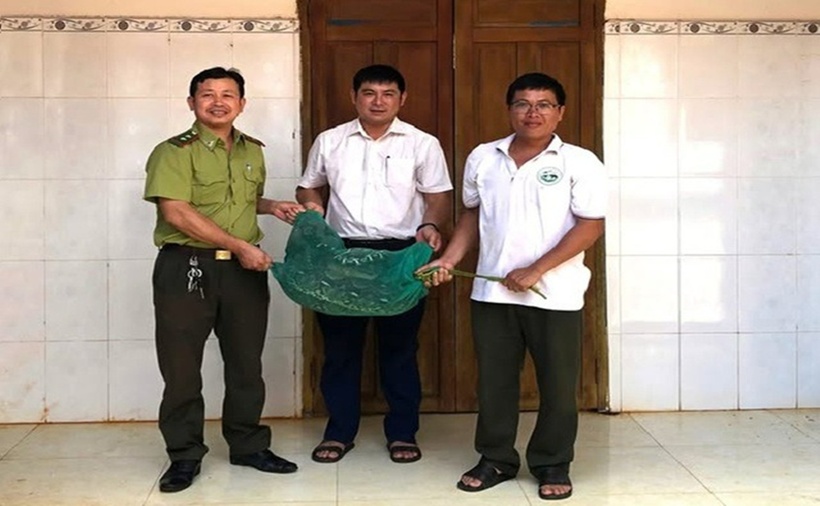 Chính quyền địa phương phối hợp bàn giao con trăn gấm cho cho Trung tâm Bảo tồn Voi, Cứu hộ động vật và Quản lý bảo vệ rừng Đắk Lắk.