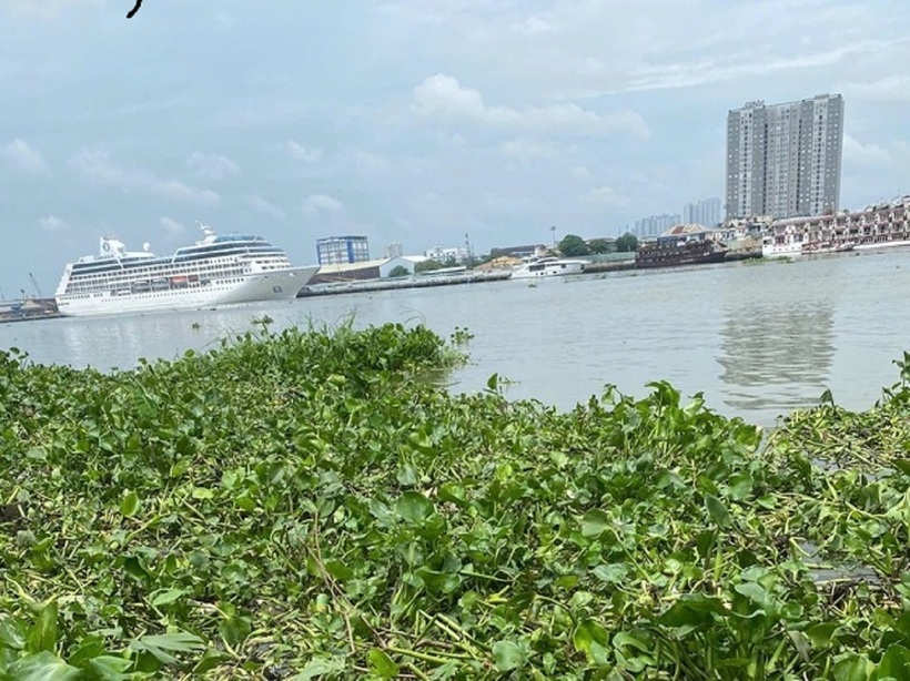 Hiện trường nơi phát hiện thi thể bé sơ sinh. Ảnh: Thanh Niên