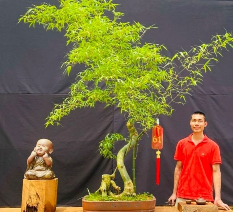 Tác phẩm tre bonsai cùng anh Nguyễn Sỹ Luân. Ảnh: Báo Bắc Giang.