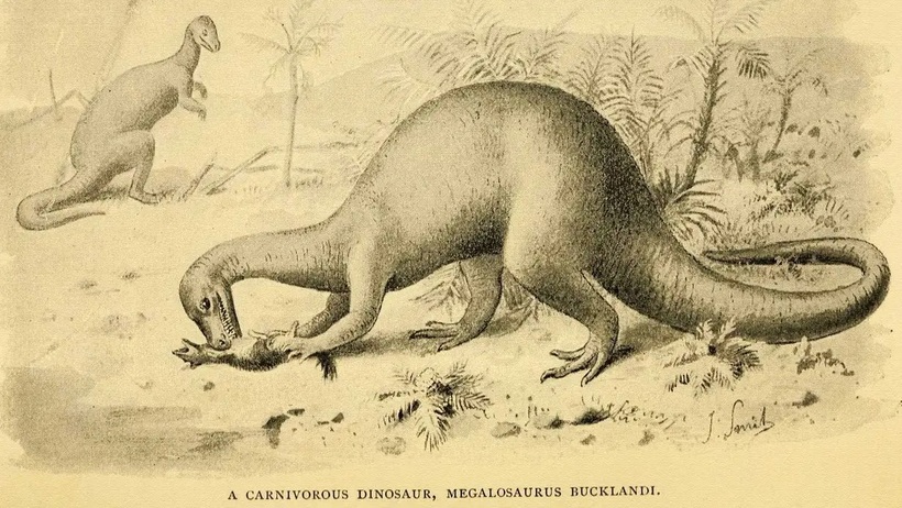 Bức tranh minh họa vào năm 1896 của ông Josepn Smit về loài khủng long Megalosaurus. Ảnh: Getty Images.