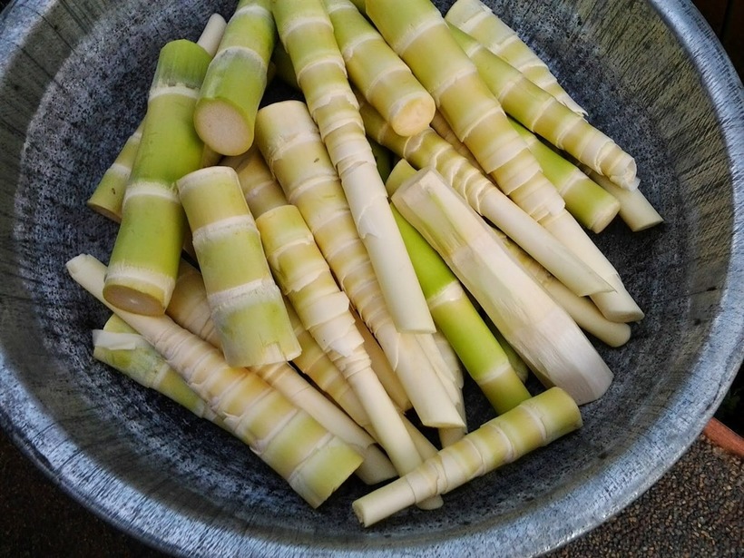 Măng tây, măng tre là thực phẩm giàu canxi không có lợi cho bệnh thận mãn tính và suy thận.
