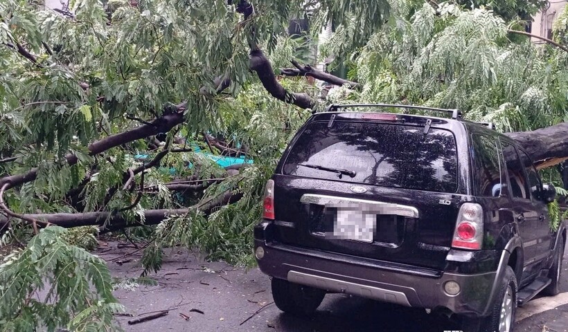 Nguyên nhân vụ việc đang được làm rõ. Ảnh: Hà Nội Mới