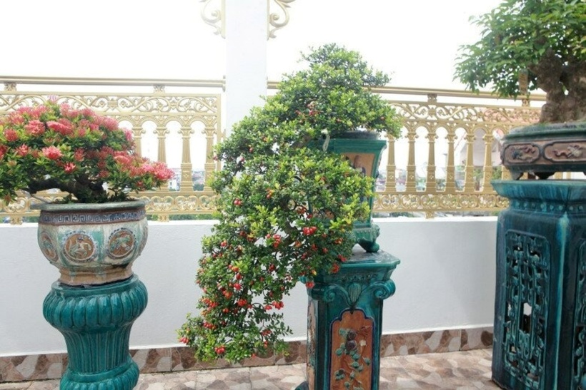 Dáng hải châu với kiểu dáng nghệ thuật đặc biệt. Ảnh: Tri Thức & Cuộc sống.