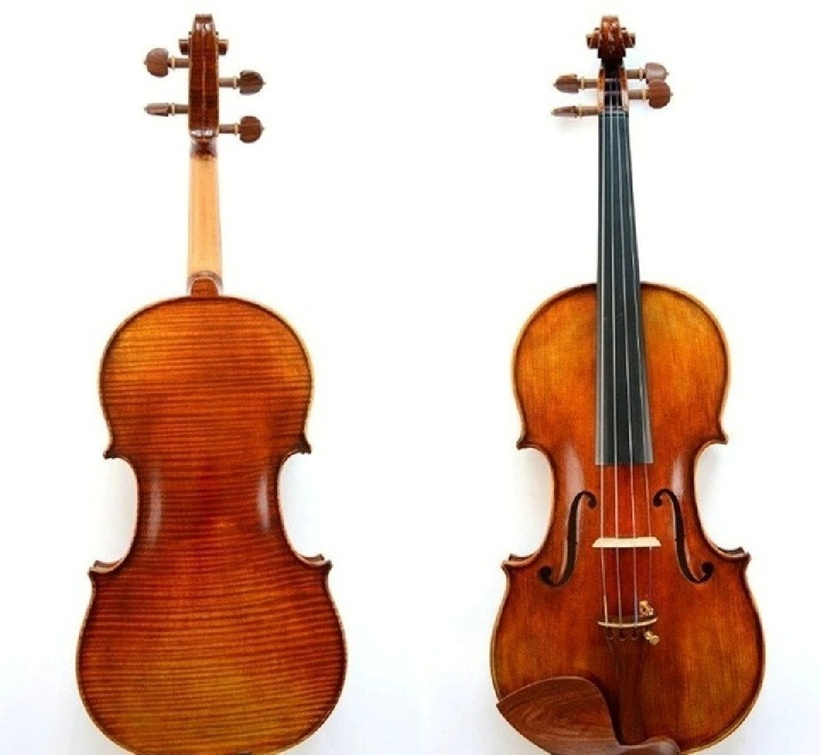 Chất lượng âm thanh của violin Messiah Stradivarius nổi bật nhờ vào nguyên liệu chế tác là gỗ Vân sam. Ảnh: Natgeo.