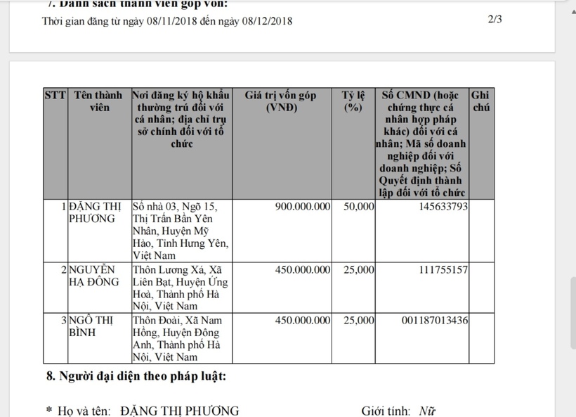 Các cổ đông sáng lập của Công ty TNHH Xuất nhập khẩu Nhật Minh Phương, tiền thân của Công ty TNHH Sản xuất và XNK Nhật Minh Food.