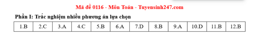 Đáp án gợi ý, đề thi môn Toán tốt nghiệp THPT 2025 mã đề 116 - 6
