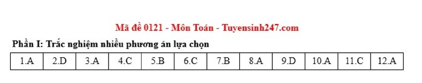 Đáp án gợi ý, đề thi môn Toán tốt nghiệp THPT 2025 mã đề 121 - 5