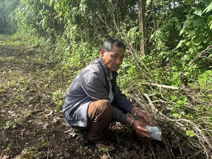 Đối tượng Trần Huy Quang chỉ nơi cất giấu ma túy trong vườn nhà. (Ảnh: Công lý)