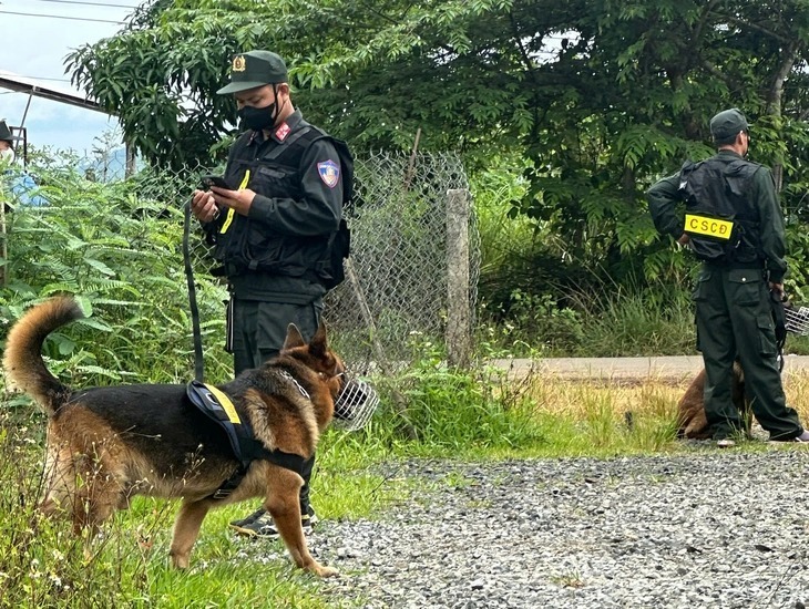 Cảnh sát cơ động huy động chó nghiệp vụ đánh hơi, truy tìm ma túy. (Ảnh: Tuổi trẻ)