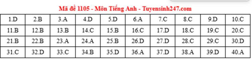 Đáp án, đề thi môn Tiếng Anh mã đề 1105 tốt nghiệp THPT 2025: Cập nhật nhanh nhất, chính xác nhất - 1