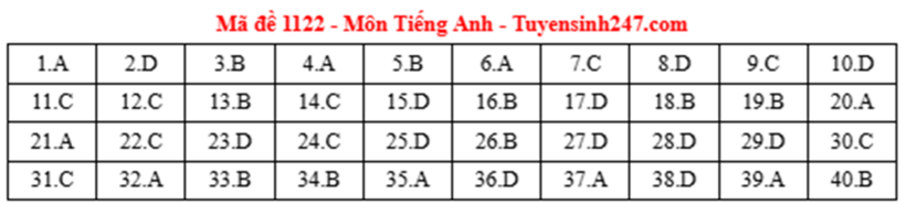 Đáp án, đề thi môn Tiếng Anh mã đề 1122 tốt nghiệp THPT 2025: Cập nhật nhanh nhất, chính xác nhất - 5