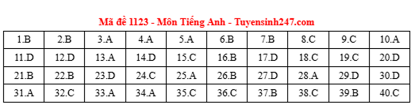 Đáp án, đề thi môn Tiếng Anh mã đề 1123 tốt nghiệp THPT 2025: Cập nhật nhanh nhất, chính xác nhất - 1