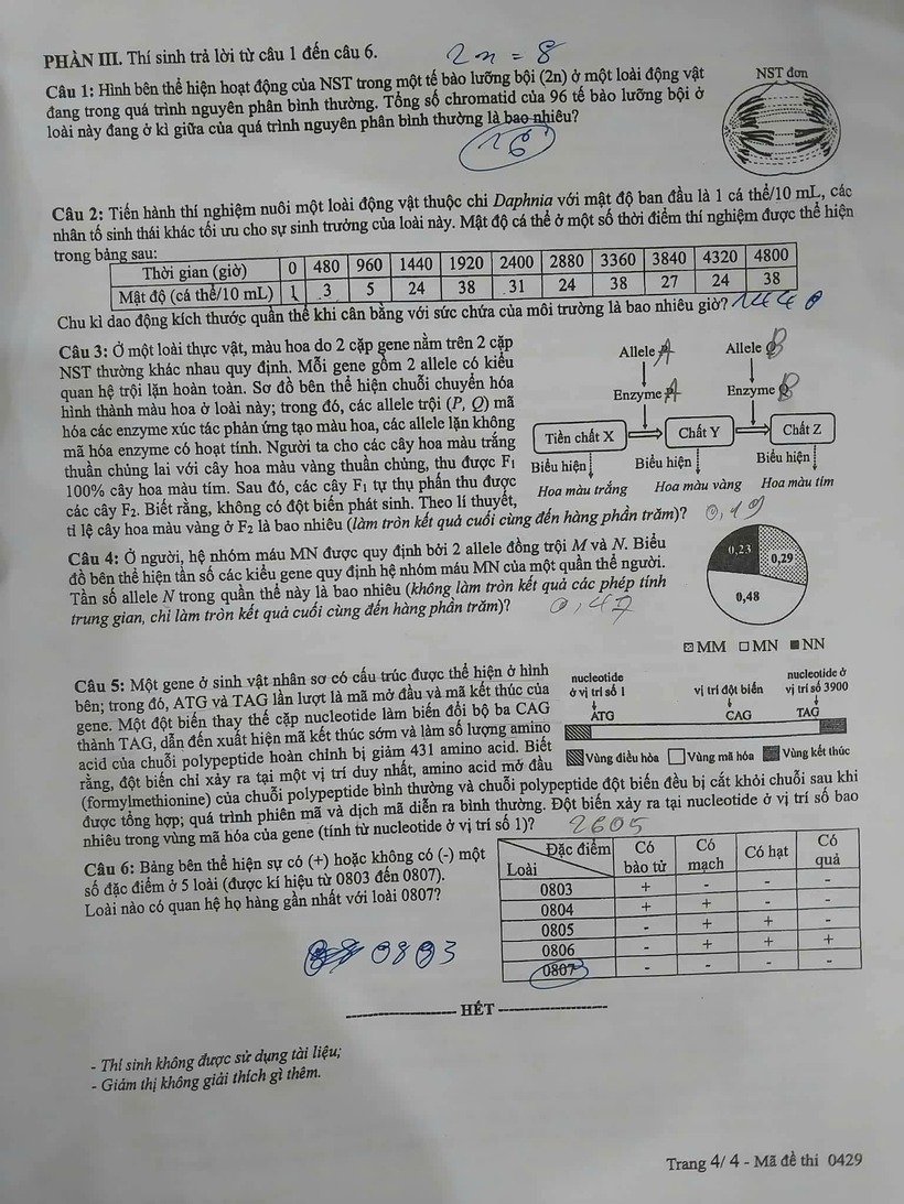 Gợi ý đáp án, đề thi môn Sinh học mã đề 0429 tốt nghiệp THPT 2025 chính xác nhất. Ảnh: Tôi Yêu Sinh Học.