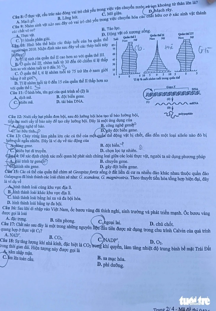 Gợi ý đáp án, đề thi môn Sinh học mã đề 0426 tốt nghiệp THPT 2025 chính xác nhất - 2