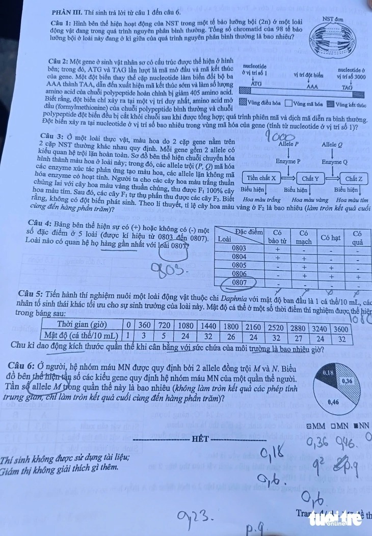 Gợi ý đáp án, đề thi môn Sinh học mã đề 0426 tốt nghiệp THPT 2025 chính xác nhất. Ảnh: Báo Tuổi trẻ.