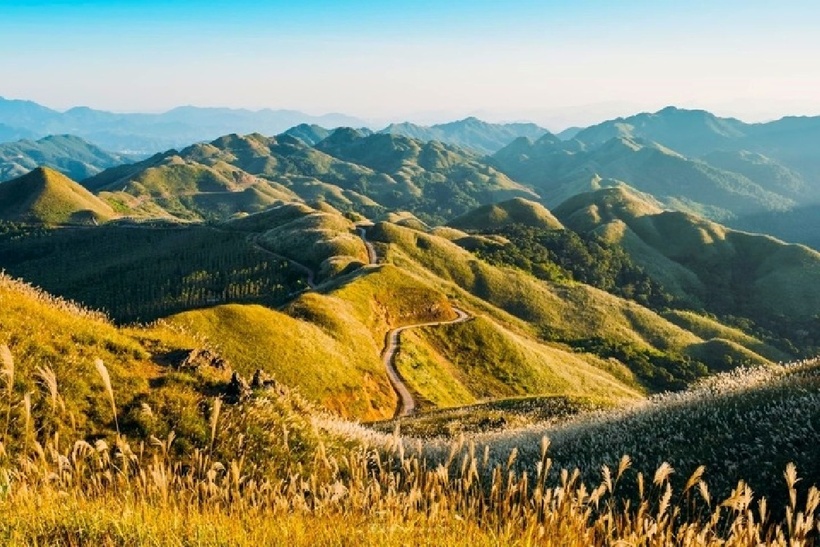 Cỏ lau nở trắng xóa khiến cả một vùng trời biên cương cùng đoạn "sống lưng khủng long" này càng thêm tuyệt vời.