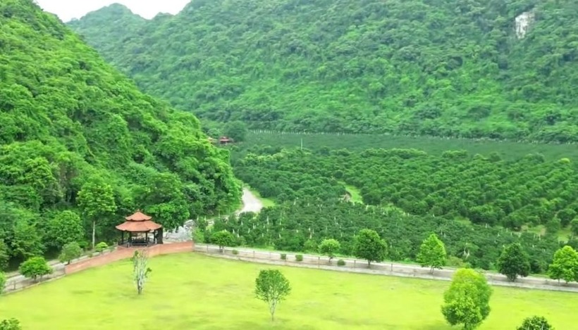 Ngoài ra còn có khu trồng cam và chăn nuôi tổng hợp, được thiết kế rất bài bản.