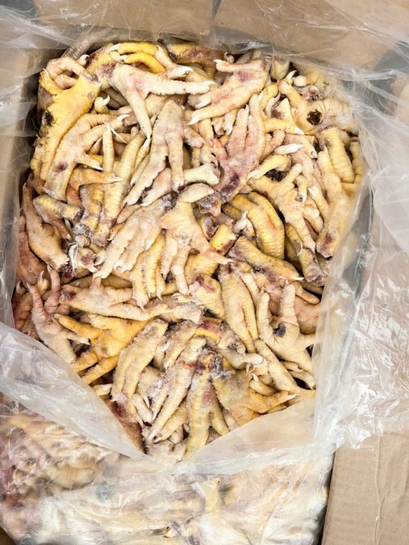 Tang vật bị thu giữ. Ảnh: Báo Chính Phủ